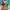 Lucky's Millions Scratch