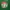 European Roulette Pro