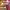 Lucky Neko – Gigablox