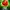 Fruit Cash Hold n' Link
