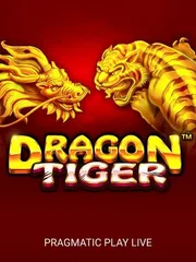 Dragon Tiger