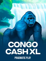 Congo Cash XL
