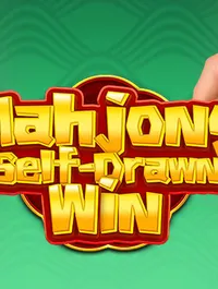 Mahjong Self-Drawn Win