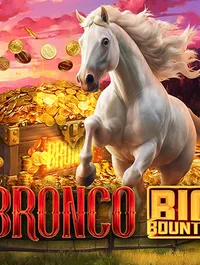 Bronco Big County