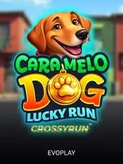 Caramelo Dog: Lucky Run